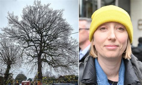 Council pleads with campaigners to let it chop down 'diseased' 170-year ...
