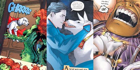 The Times Crypto Was The Goodest Boy In DC Superman