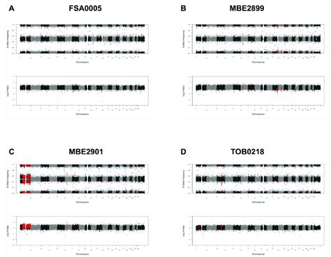 Image result for Formation of Copy Number Variation