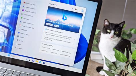 Bing Chat Support 的图像结果