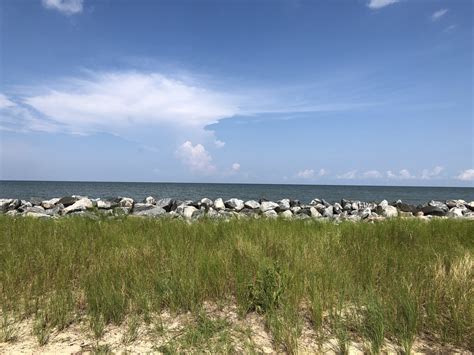 Camping on Gwynn’s Island – August 11-14, 2020 | Simply Art-Rageous!