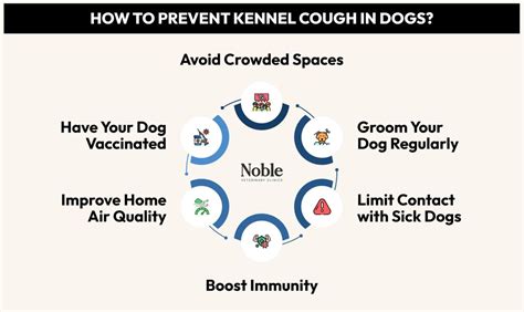 What Prevents Kennel Cough
