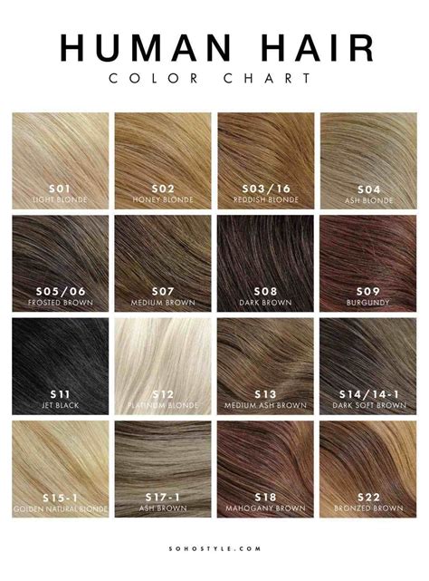 Ash Hair Color Chart - Infographic Chart Design