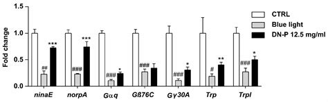 Dendrobium nobile Polysaccharide Attenuates Blue Light-Induced Injury ...