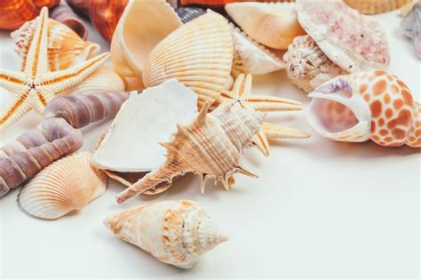 Image result for Isolated Shells