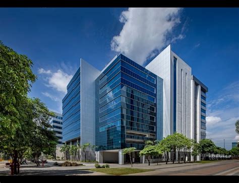 Outdoor Cinema Experiences