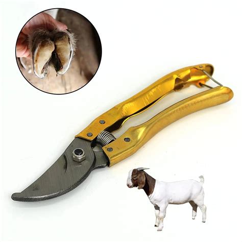 Heavy-Duty Hoof Cutting Tool for Goats & Sheep | Stainless Steel – CJ ...
