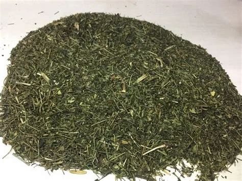 Herbal Leaves - Stevia Rebaudiana Leaves Manufacturer from Neemuch