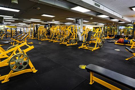 Gold's Gym North Sydney - 24/7 strength & fitness gym