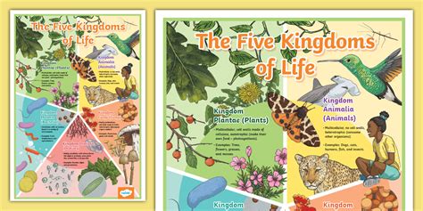 Image result for Five Kingdoms of Life Examples
