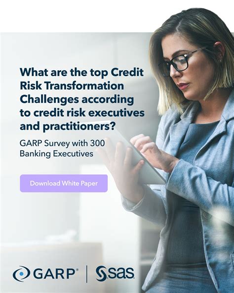 Image result for Credit-Risk SAS Modeling