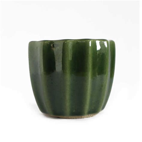 Line Green Ceramic Pot (Small) – Santhi Online Plants