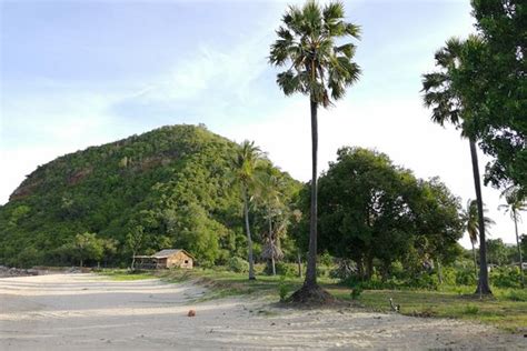 Mr.TugTug - Bangkok | Tripadvisor