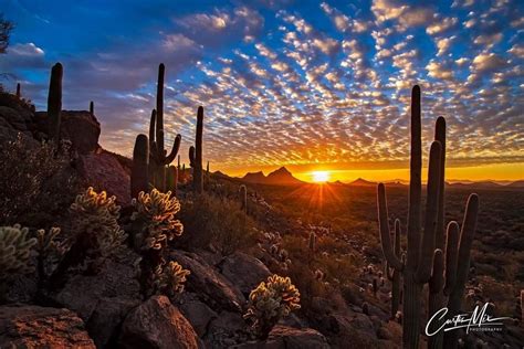 Just after sunrise at Tucson Mountain Park. Photo by Curtis Mix ...