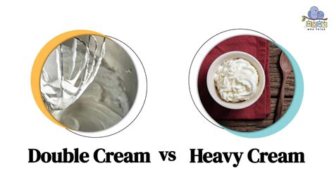 Double Cream vs. Heavy Cream: Differences (Calories, Cooking, Nutrition ...