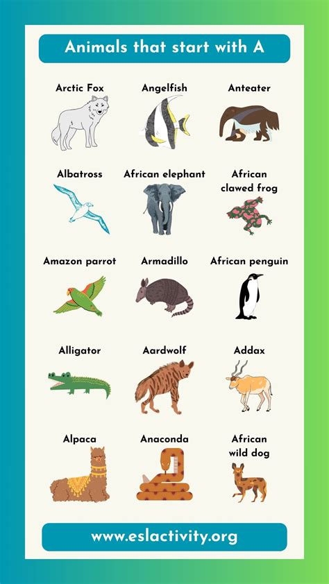 List of Animals that Start with A: Fun Facts and Pictures