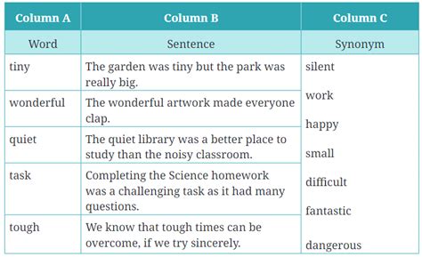 NCERT Solutions Class 6 English Ila Sachani Embroidering Dreams With ...