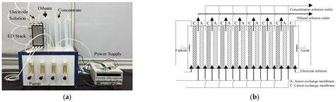 Investigation of Histamine Removal by Electrodialysis from the ...
