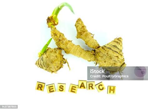 Image result for Curcuma Side Effects