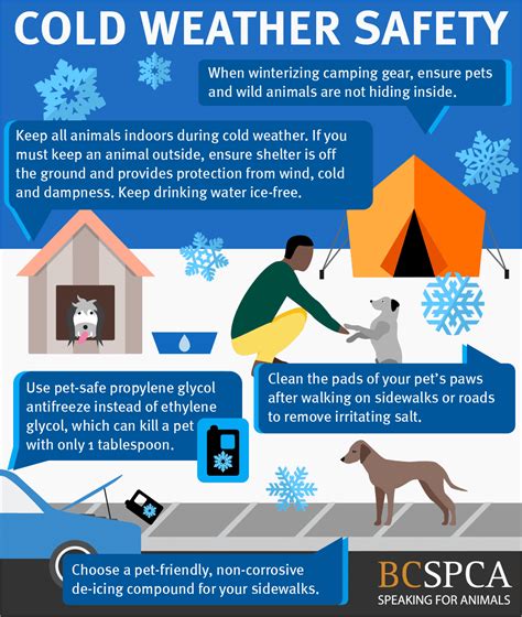 How Cold Is Too Cold For A Dog Outside