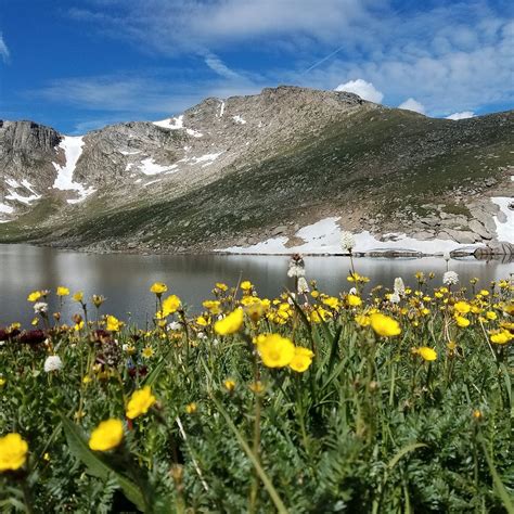COLORADO SIGHTSEER (2026) All You Need to Know BEFORE You Go (with ...
