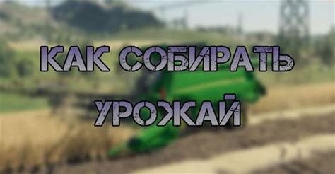 Сбор урожая в Farming Simulator 22