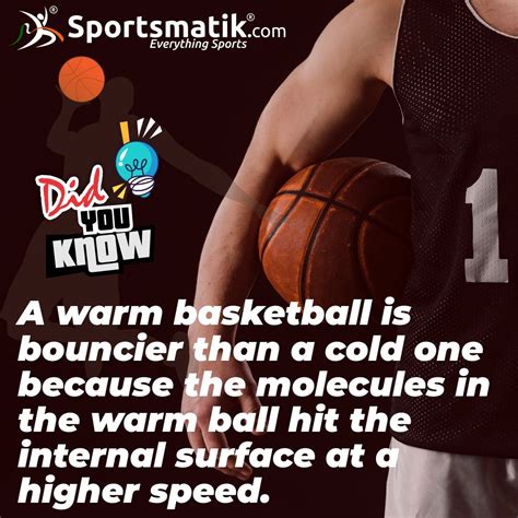 Basketball: History, Types, Objective, & Equipment - Sportsmatik | Fun ...