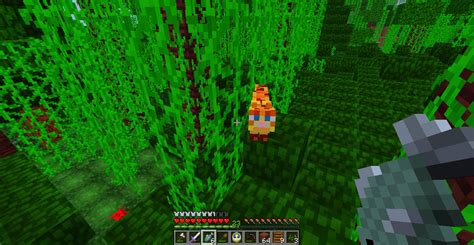 Image result for Pythonmc 1.17