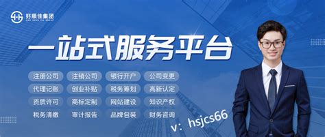 代理记账 小规模/一般纳税人记账服务_上海市企业服务云