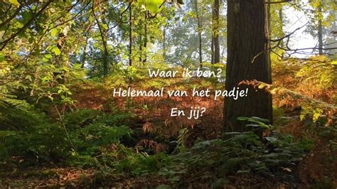 Walk2Match Lente wandeling, Hoekseweg bij 5-sprong, Liessel, Nederland ...
