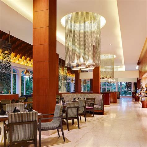 THE 10 BEST Restaurants in Kochi (Cochin) (Updated July 2025)