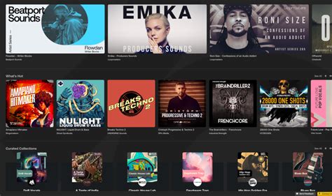 Image result for Loopcloud Play Presets