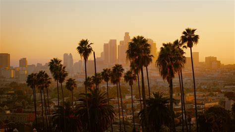 Los Angeles short-term rental laws: 2026 guide for hosts | Minut
