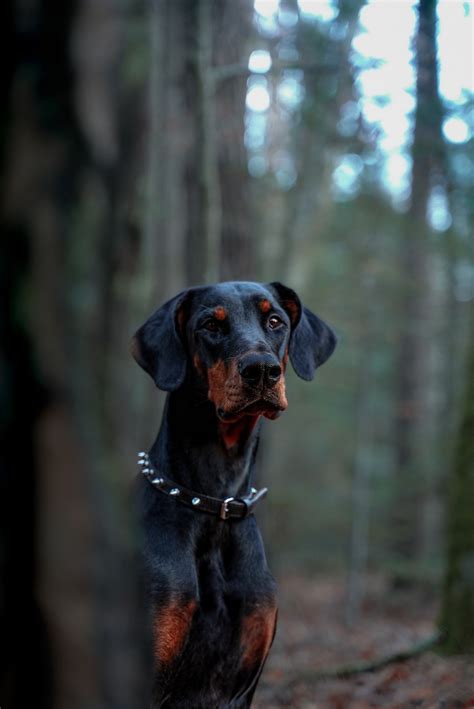 Rezultat imagine pentru Comment Entrer Mon Code Dans Facebook