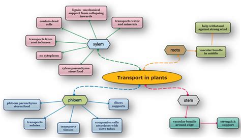 Mind map — lesson. Science State Board, Class 10.