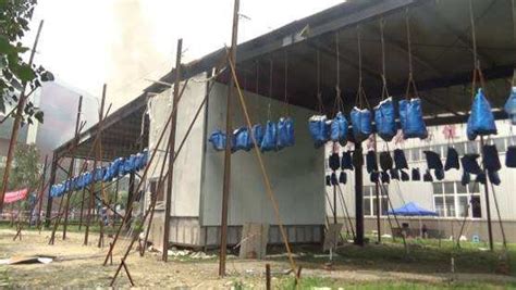 How to Find Report of Collapse Testing 的图像结果