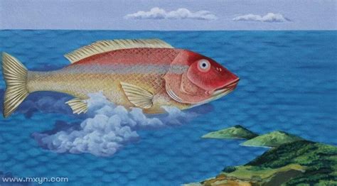 梦见鱼是什么意思 梦见鱼周公解梦查询 - 万年历