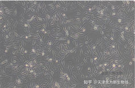 MK 128 Algorithm 的图像结果