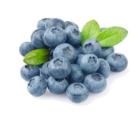 Blueberry, Fruit, Antioxidants, Blue, Healthy PNG