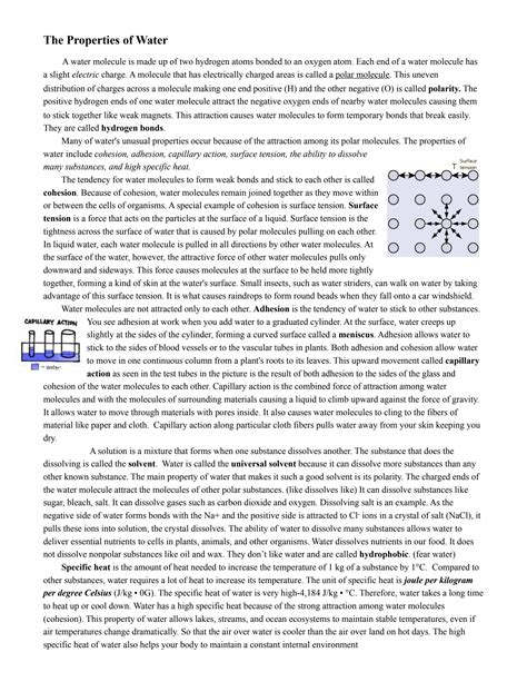 SOLUTION: The properties of water worksheet 1 - Studypool - Worksheets Library