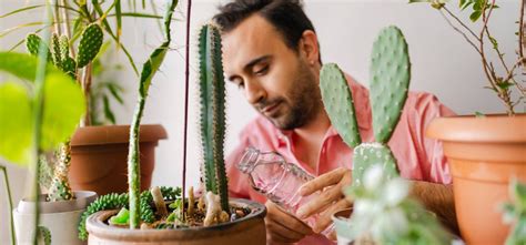 World Environment Day 2020 Theme - Make Time for Nature By Bringing ...