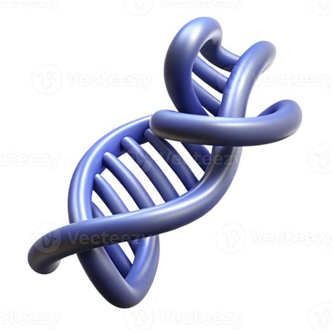 Renaissance Dna Student Login