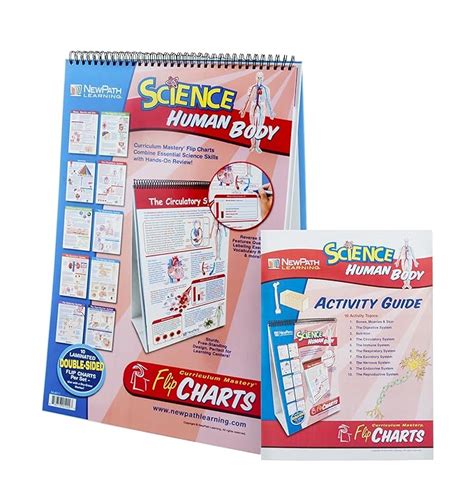 Eisco Human Body Educational Flip Charts : Amazon.in: Home & Kitchen