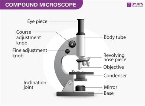 Image result for Compound Microscope with Label