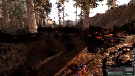 The Stalker Reborn Script 的图像结果