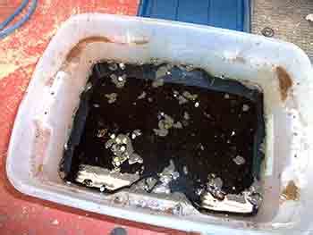 Remove Rust with Molasses 的图像结果