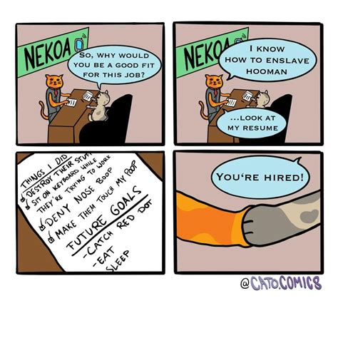 [OC] job Interview : r/comics