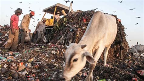 Ghazipur landfill collapse: What Delhi can do to prevent another ...