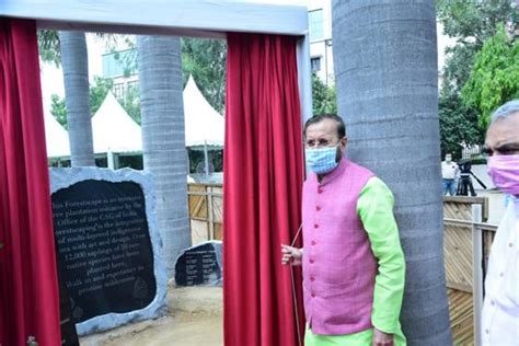 Urban forests are the lungs of the cities,acting as an oxygen bank and ...