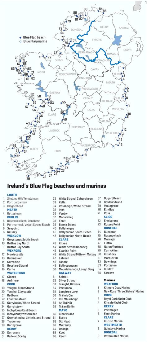 Blue Flags 2024: Beaches in Dublin, Wexford and Waterford lose out ...
